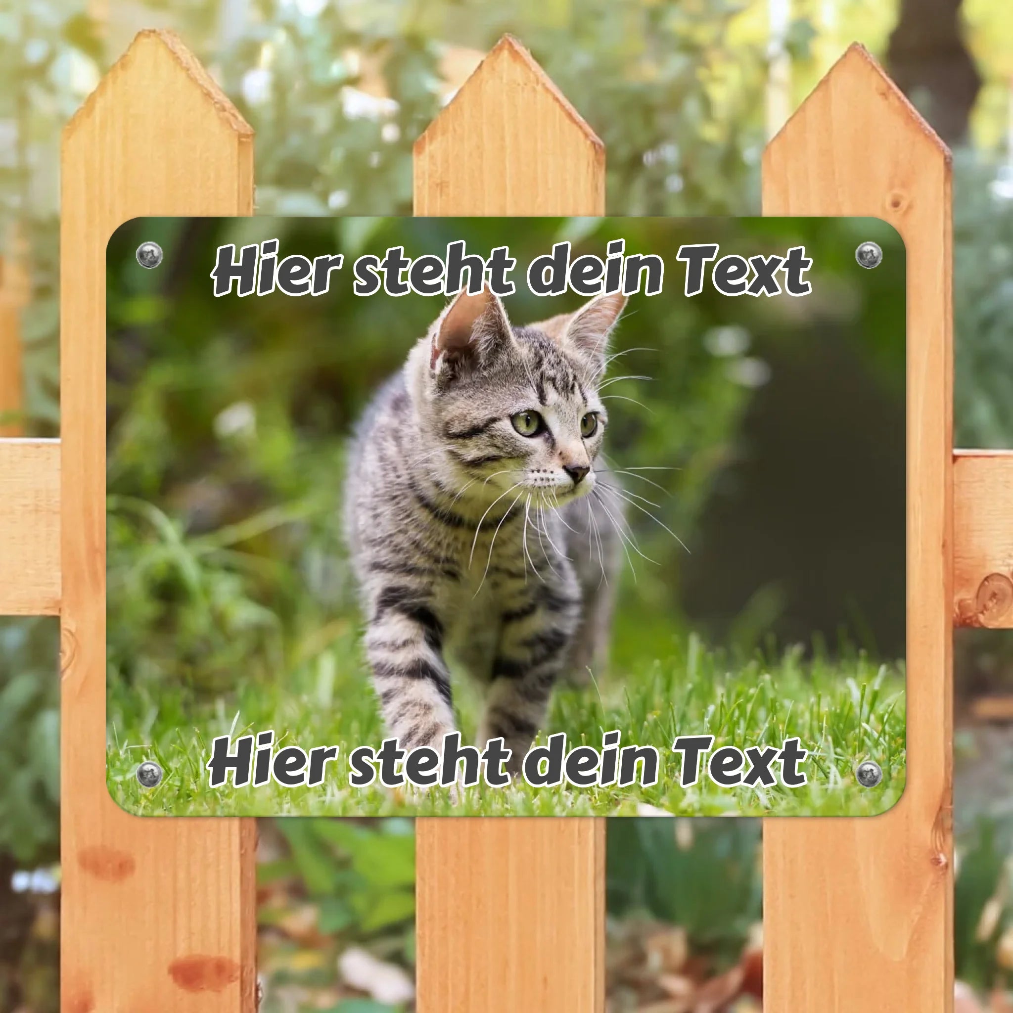 Katzen-Türschild personalisiert mit Foto & Text (UV- und wetterfest)