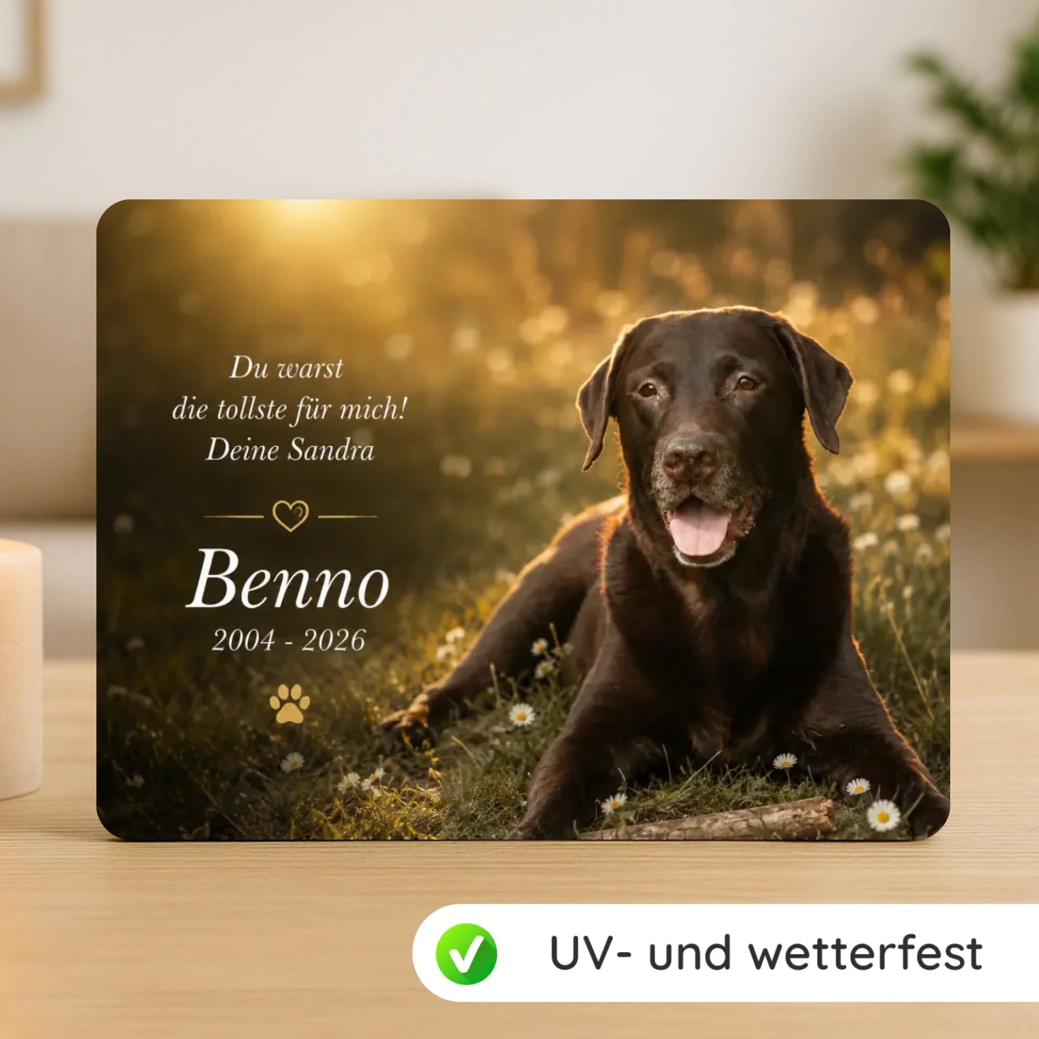 gedenktafel-mockup-neu2025-2
