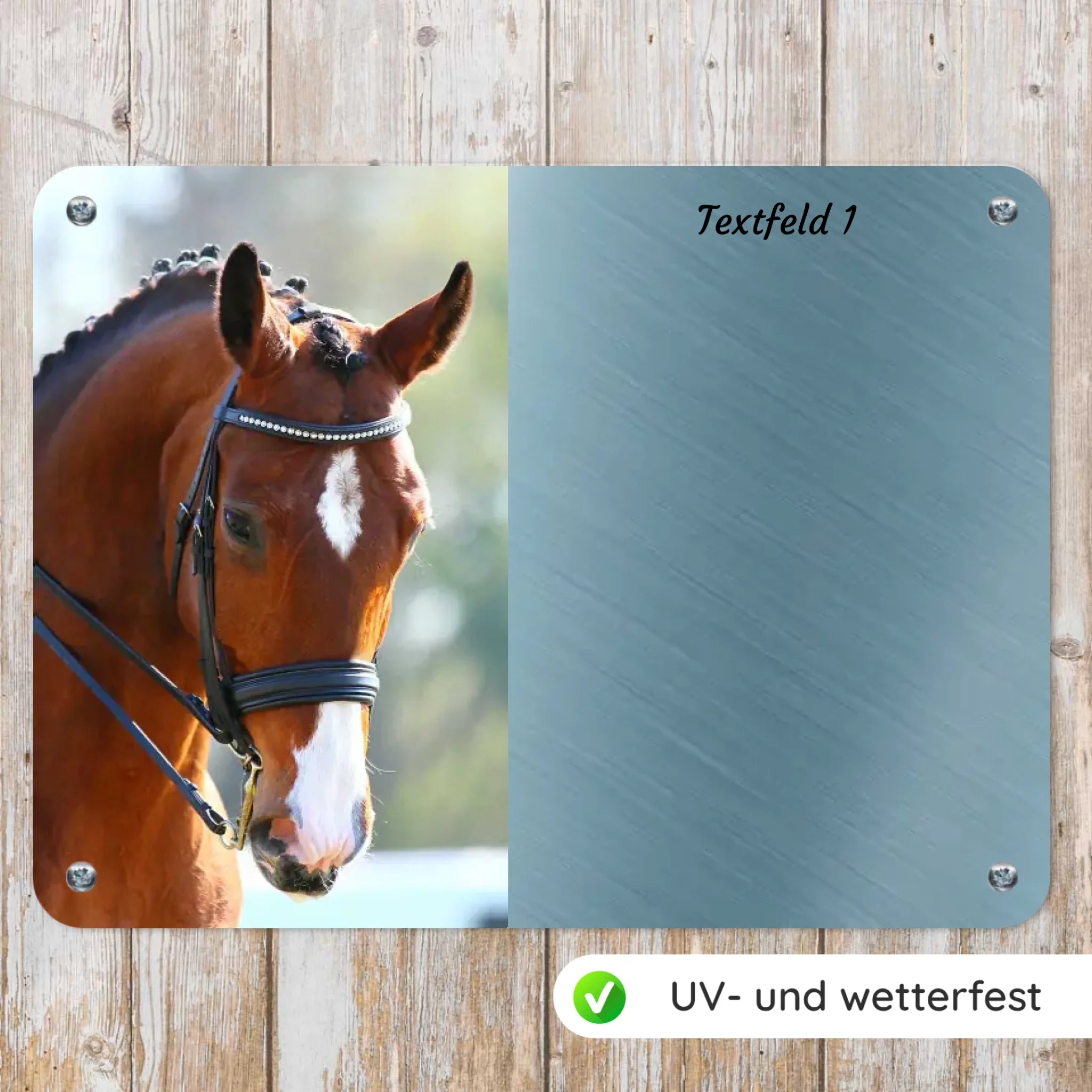 Boxenschild - freie Gestaltung