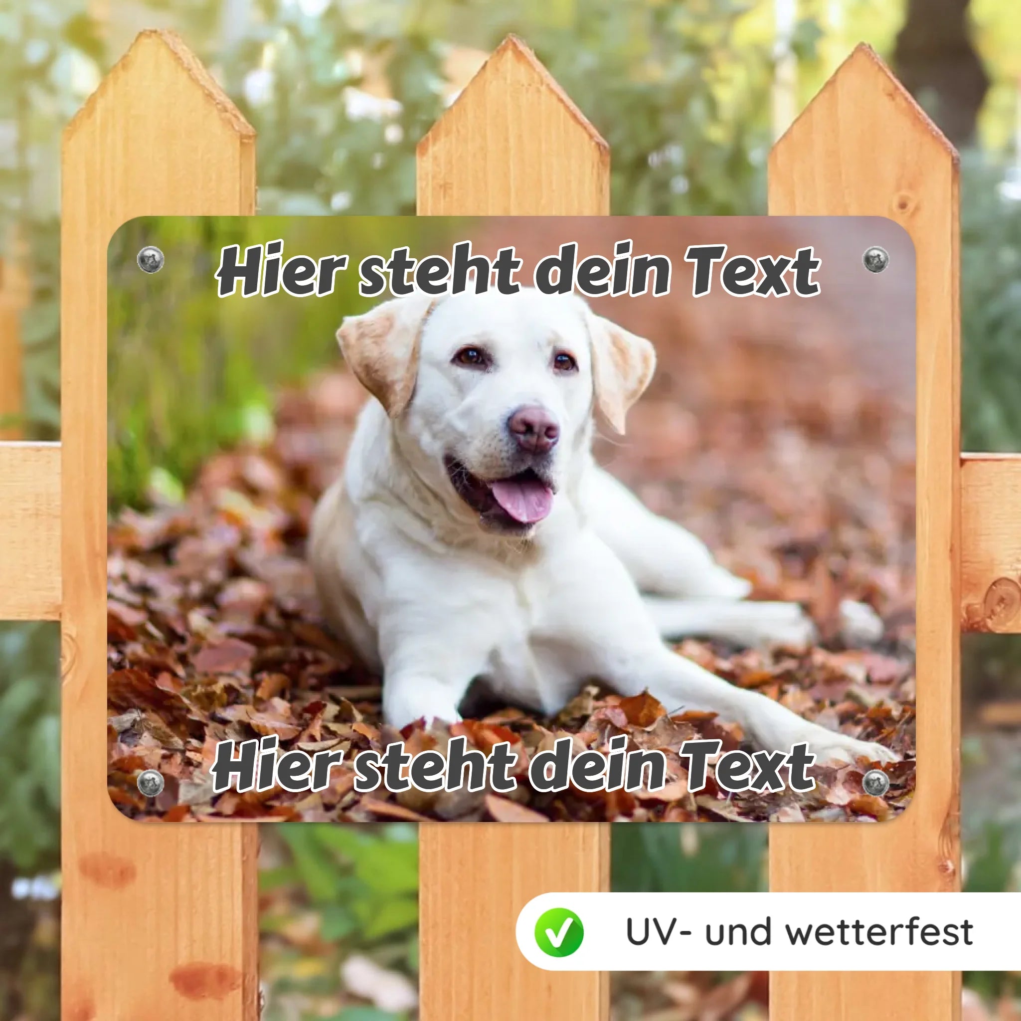 Hunde-Türschild personalisiert mit Foto & Text (UV- und wetterfest)
