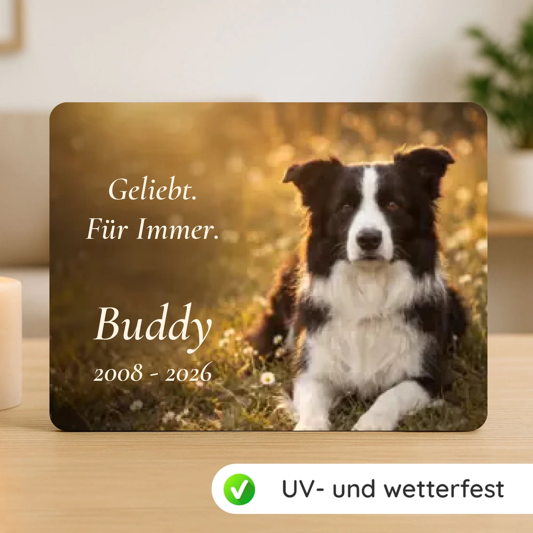 gedenktafel-mockup-neu2025-2