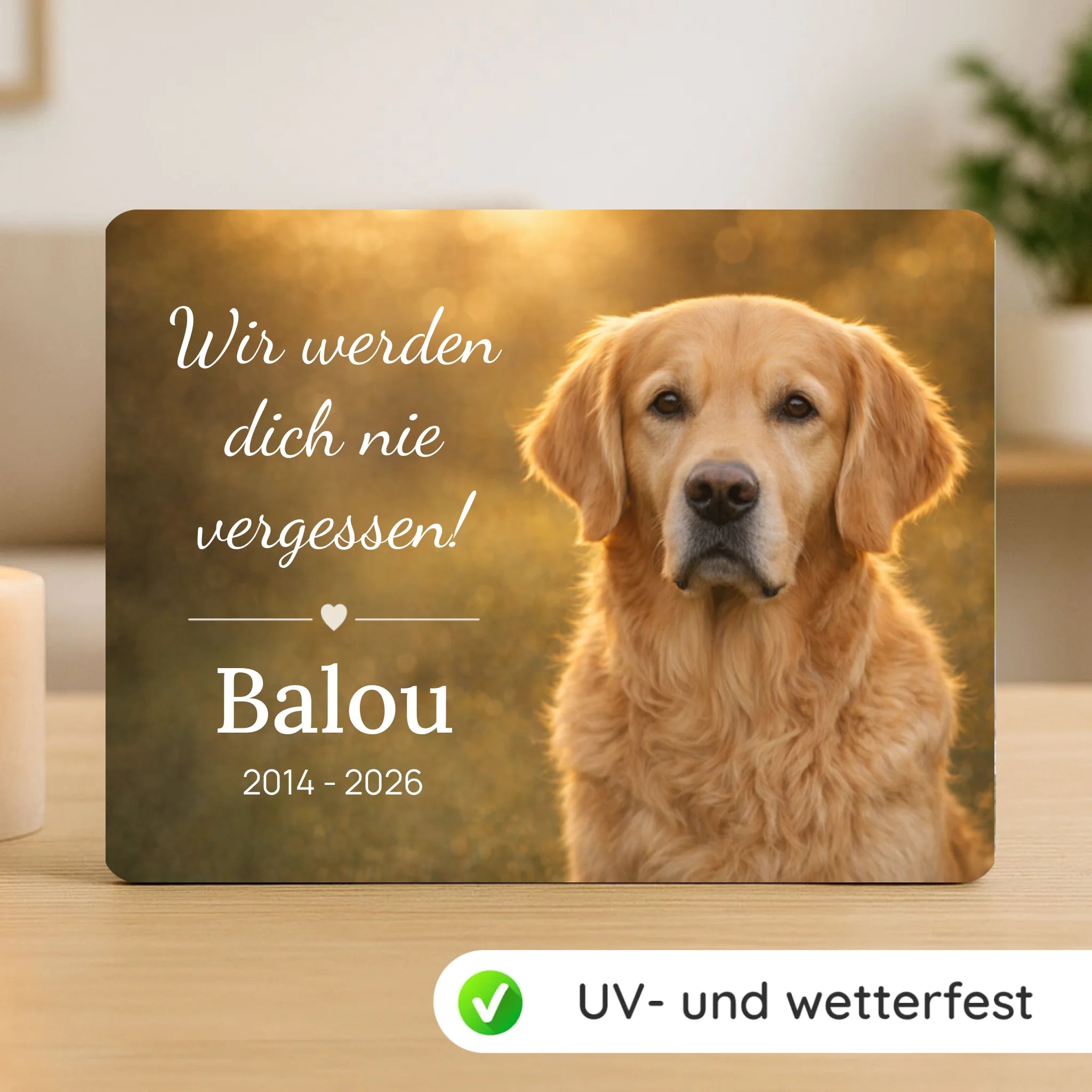 gedenktafel-mockup-neu2025-2