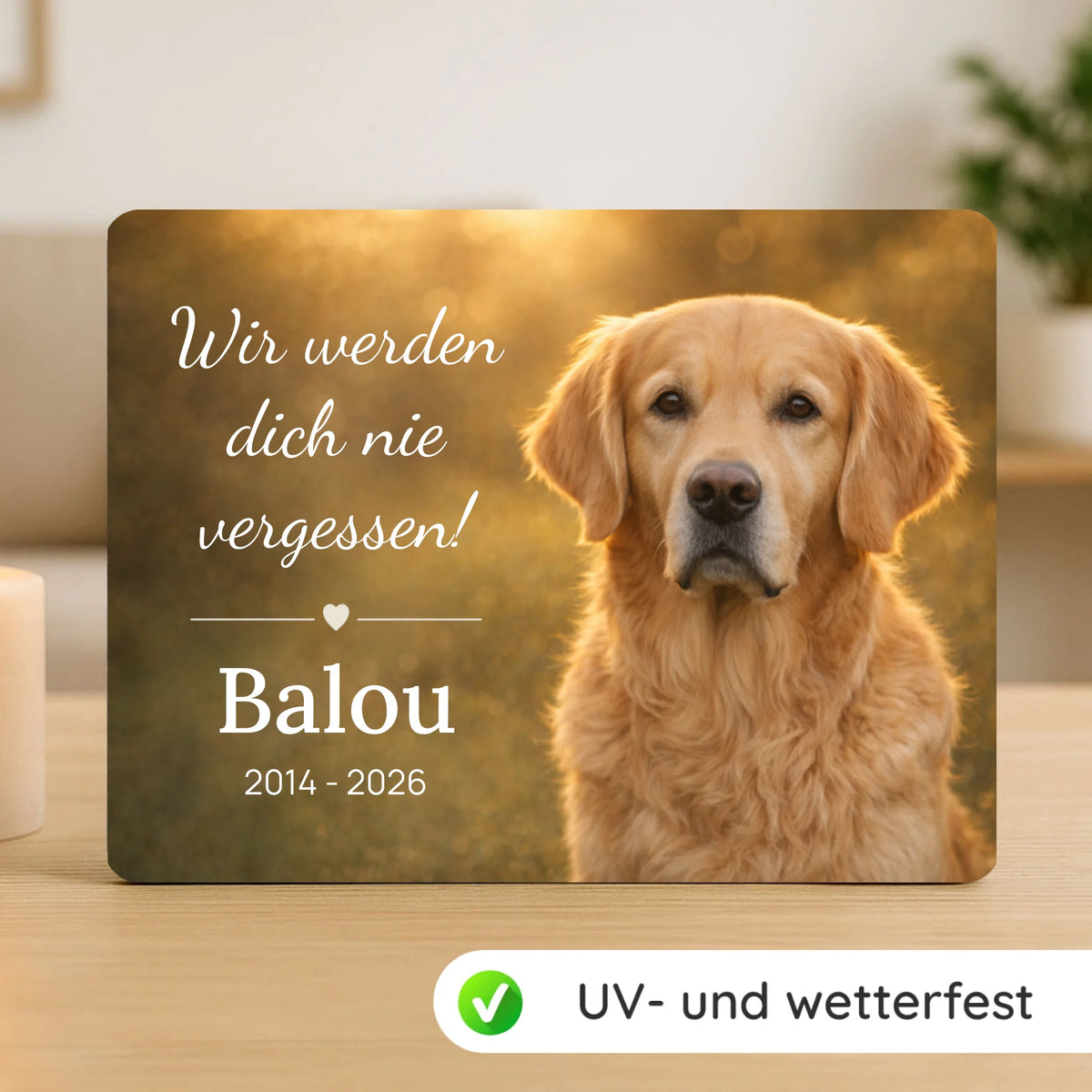 gedenktafel-mockup-neu2025-2
