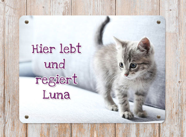 Katzen-Türschild mit Foto & Wunschtext - Angebot beim Kauf eines 2. Schildes