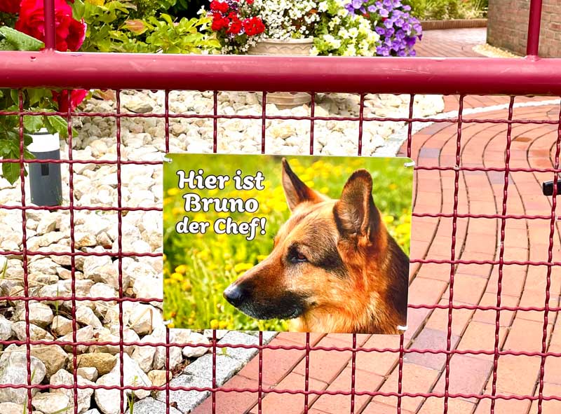 Hunde-Türschild mit Foto & Wunschtext (UV- UND WETTERFEST)