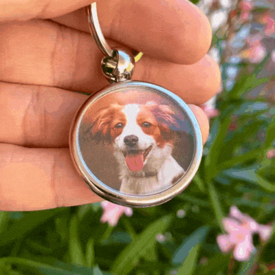 Schlüssel- Anhänger mit Foto "Hund"