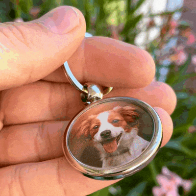Schlüssel- Anhänger mit Foto "Hund"