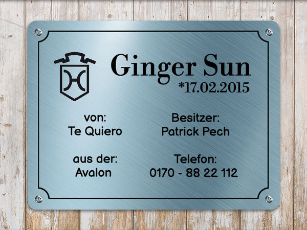 Pferde Boxenschild Metallic blau mit Wunschtext